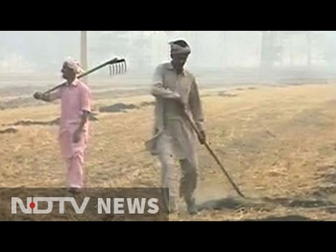 Acres Of Field Continue To Burn In Mukhtsar: Ground Report On Punjab's Crop Fires