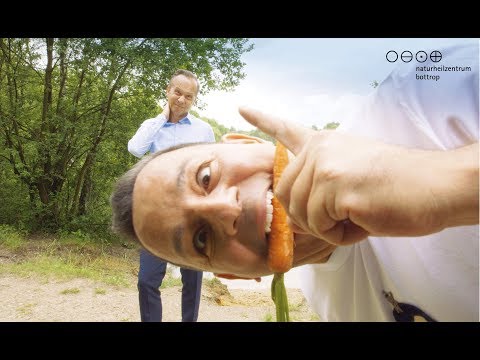 Die Behandlung des Ekzems auf den Händen von den Gräsern Was vom Ekzem auf der Person hilft