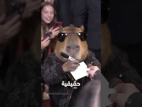 🔥 5 حيوانات الإنسان حوّل فضلاتها لثروة بالملايين! 😱💰