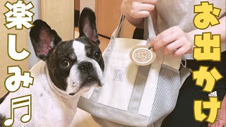 念願の坂上家グッズ届いたので開封！✨