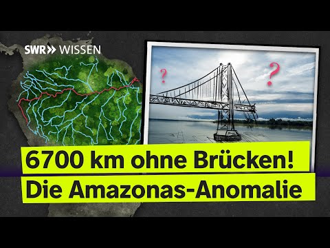 Why Aren't There Any Bridges Over the Amazon River? | SWR Wissen