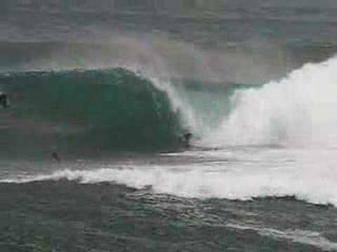 Shark Island 11/06/2007