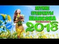 СУПЕР ШАНСОН | ЛЕТНИЕ НОВИНКИ 2018 | НОВЫЕ ПЕСНИ ШАНСОНА 2018