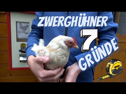 , title : 'Hühner Tipp 21 - Zwerghühner sind besser! 7 Gründe für die Kleinen Hühner'
