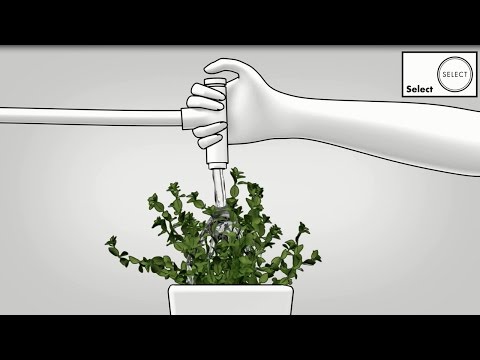 Köksblandare Hansgrohe Metris Select 240