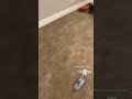NBA YoungBoy New Snippet