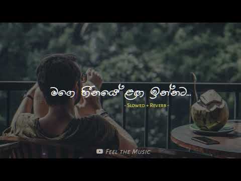 මගෙ හීනයේ ළඟ ඉන්නට | Mage heenaye langa innata ( Slowed + Reverb ) #feelthemusic #slowed #lyrics