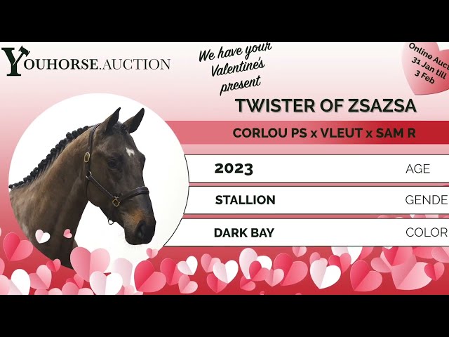 Twister of Zsazsa loose jumping @ home