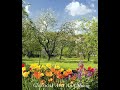 Vivaldi “The four seasons” Spring