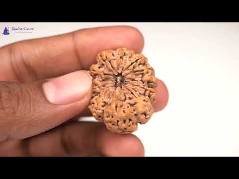 Rudraksha Product Image