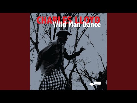 Flying Over The Odra Valley (Live At Jazztopad Festival, Wroclaw, Poland)