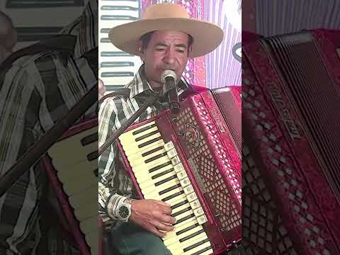 SAUDADE DE GUARAPUAVA 🔝🪗#tonymathias #baile #bailao #bailegaucho #baileterceiraidade