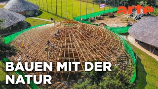 Von Holz zu Bambus - Wunderstoffe | Doku HD Reupload | ARTE