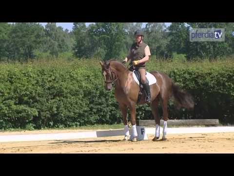 Übergänge in der Praxis - so gelingt die Parade | Reinhart Koblitz