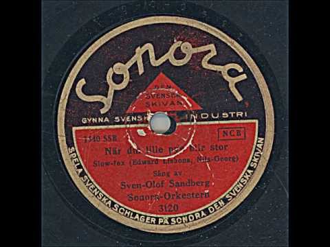 SOS SONORA ORKESTERN - NÄR DIN LILLE PYS BLIR STOR