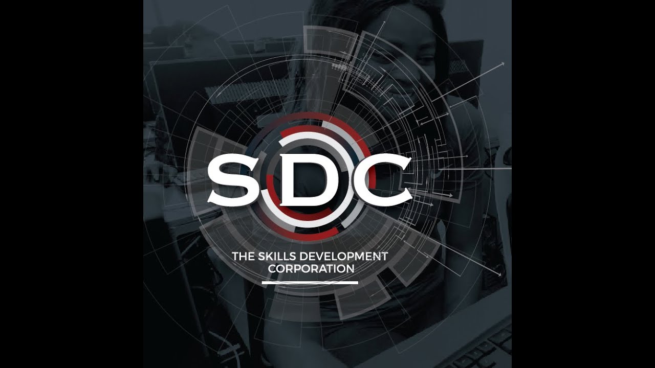 How to perform an accurate Skills Audit.