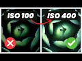 What is ISO and Why it Doesn't Matter For Landscape Photography