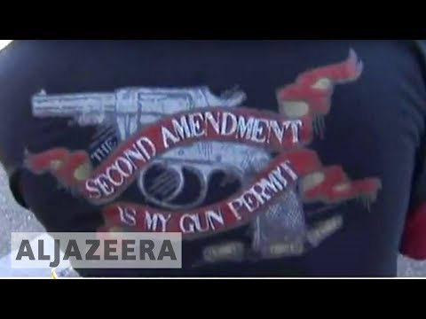 Pro-gun rallies held in US state capitals