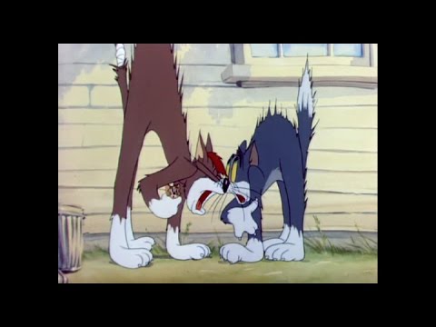 Tom & Jerry VS System of a Down (by Freeman-47)