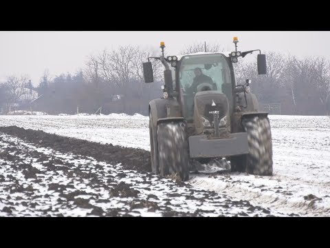 JEDAN ČOVEK SAM RADI 600 HEKTARA ZEMLJE - moderna tehnologija i agrotehnika - ORANJE