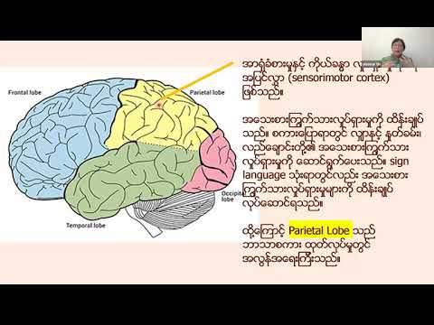 Enhancing language development in young learners