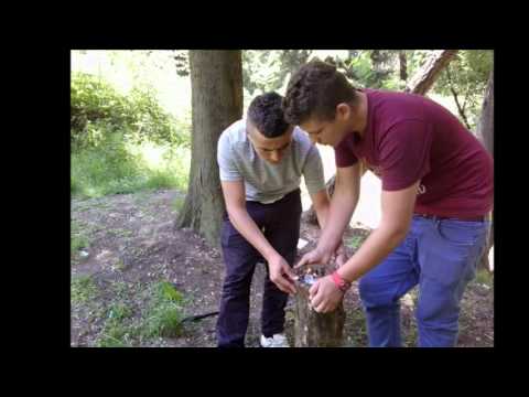 shkatrrusi ft degjeneruesi tdb