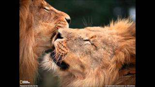 Dj Colette - Feelin Hypnotized (Black Liquid Remix)