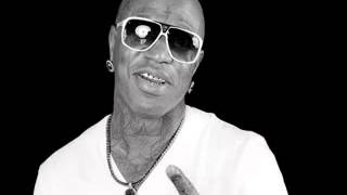 Birdman      fully loaded $ YMCMB