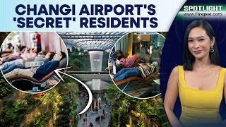 Inside Lives Of Singapore's Changi Airport's Hidden Community of Rough Sleepers | Spotlight | N18G
