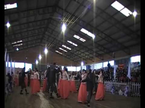 Invernada Juvenil do G.F Chaleira Preta (Tropeada Artistica parte 2)