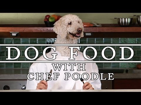 download lagu mp3 mp4 Canine Life Muffins, download lagu Canine Life Muffins gratis, unduh video klip Canine Life Muffins