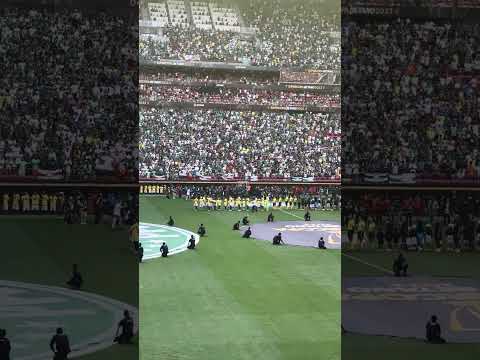 28/01/2023 - FINAL SUPER COPA FLAMENGO 3 X 4 PALMEIRAS - MANE GARRINCHA EM BRASÍLIA