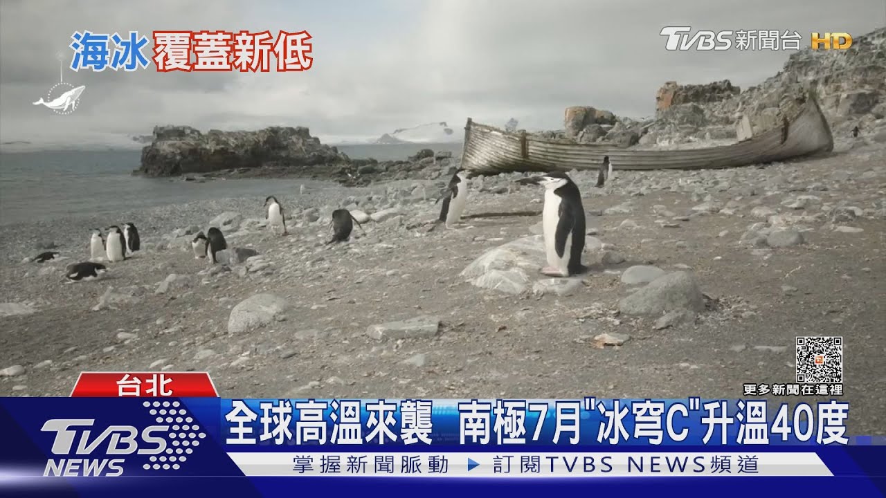 熱浪襲擊南極! 海冰面積比2010年前減少260萬平方公里