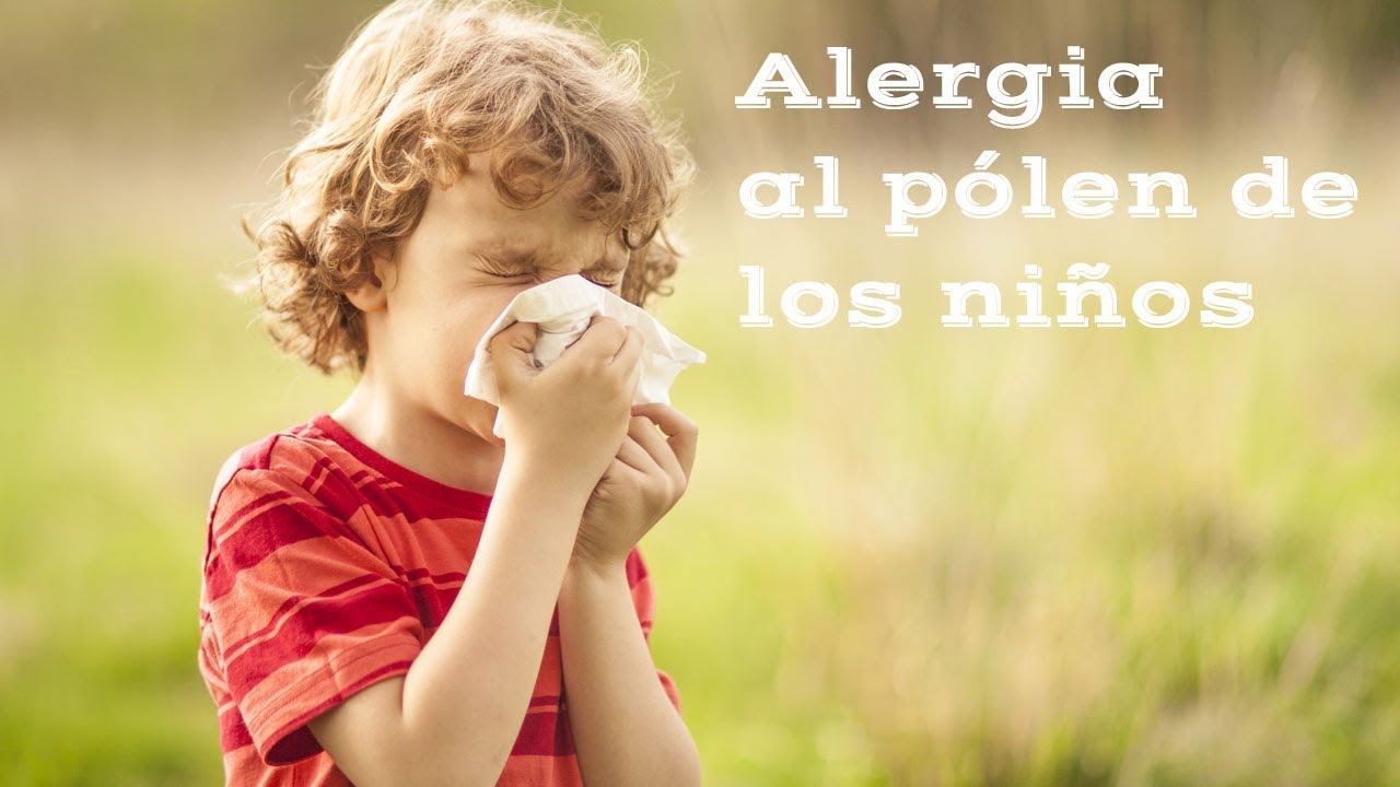 Watch 10 remedios naturales para combatir el polen y la alergia estacional Now 10 remedios naturales para combatir el polen y la alergia estacional