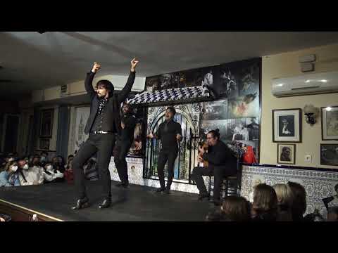 Soleá por bulerías. Pablo Egea en Peña Torres Macarena de Sevilla