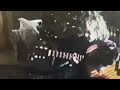 S G Goodman Pepper The Butthole Surfers Cover Visualizer