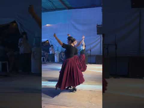 Así comenzó la Fiesta del Mote en Huinganco