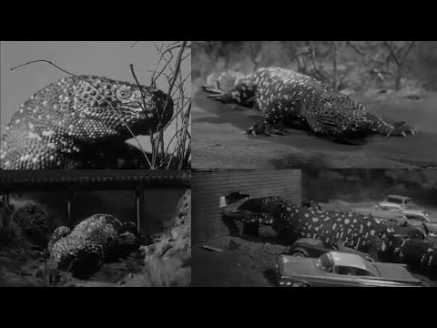 The Giant Gila Monster [1959] - Giant Gila Monster Screen Time