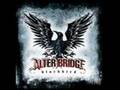 Alter bridge-ONE DAY REMAINS 