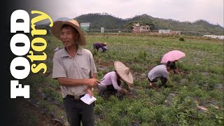 Thumbnail del capítulo