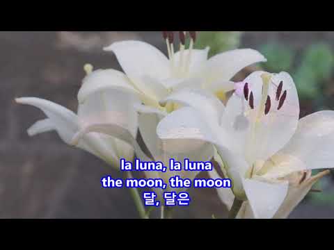 Sul mio carro(On My Chariot) - Petula Clark: with Lyrics(Italian/English/한글번역)||(I Will Follow Him)