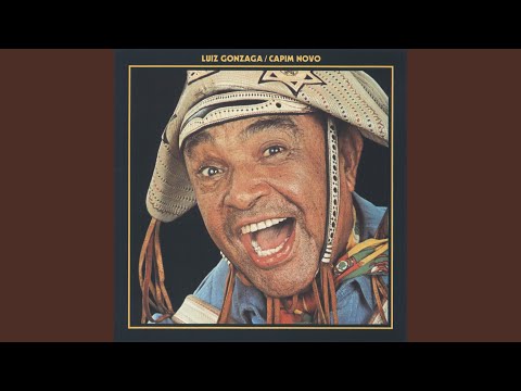 Sanfona Sentida - Luiz Gonzaga