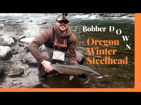 Bobber Down! Oregon Winter Steelhead | Oregon Coast Tributary Fishing for Winter Steelhead