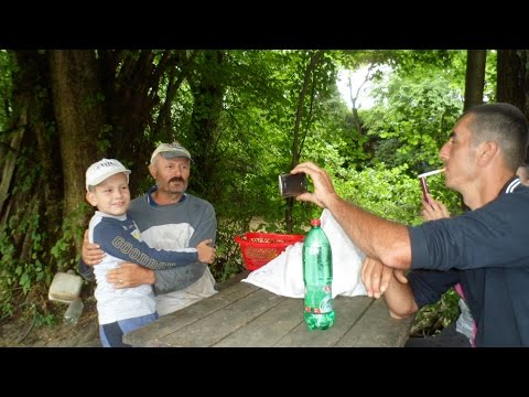 MILUTIN STOJANOVIĆ година 2016.