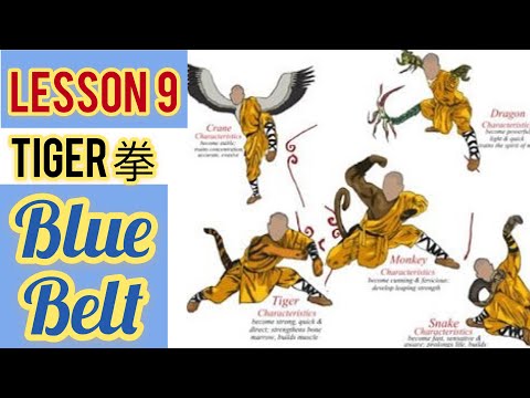 learning kung fu at home / lesson 9 , tiger claw for beginners  /  8moves tiger 虎爪