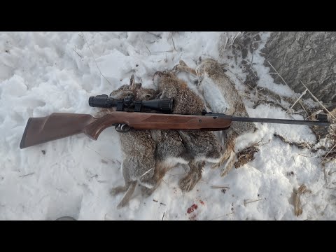 HW95 Luxus 22 Drop: 15 - 40 Yards Out