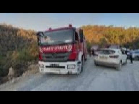 Firefighters battle blazes in Turkey's Milas area