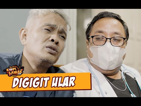 kopi-lawak-digigit-ular-1
