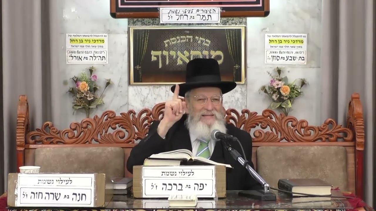 הרב שלמה בויאר | אקטואליה | מוסאיוף