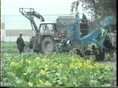 Landb. Vanneste - Deerlijk - Zetor 7045 - Schmotzer